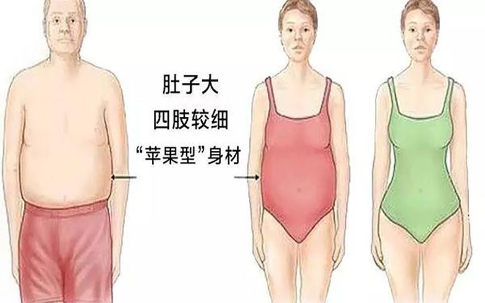 你是不是属于腹型肥胖_哔哩哔哩_bilibili