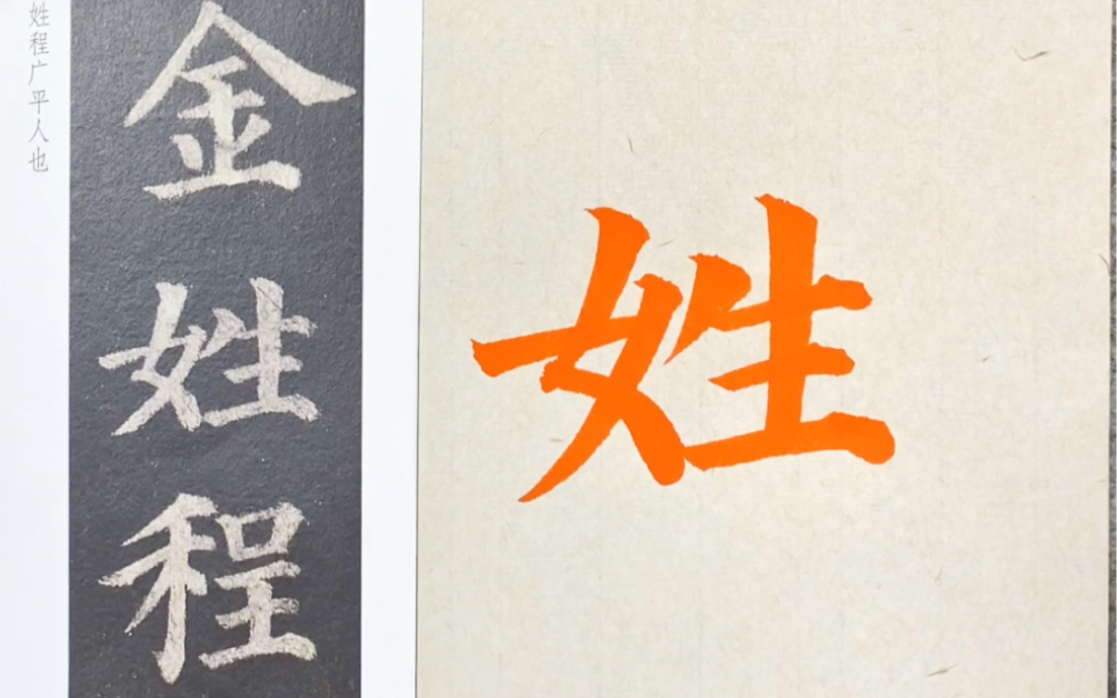 《多宝塔》单字讲解——"姓"