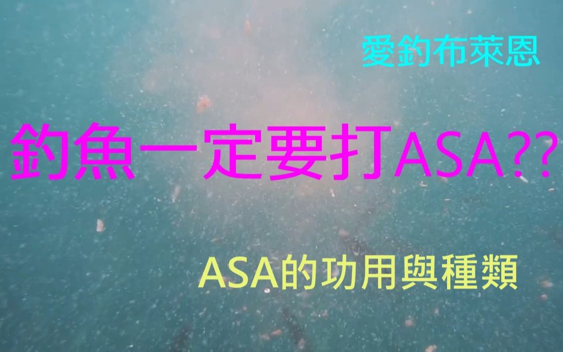 #5 浅谈ASA上集: ASA的功用与种类 (矶钓新手入门系列)哔哩哔哩bilibili