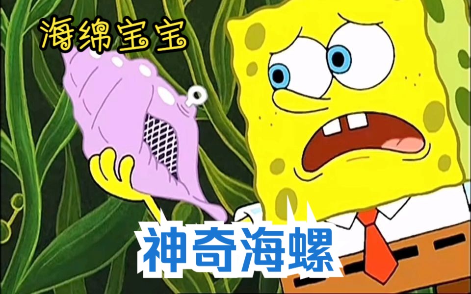 海绵宝宝:小海绵意外捡到有魔力的神奇海螺,却被章鱼哥嘲笑是傻子!