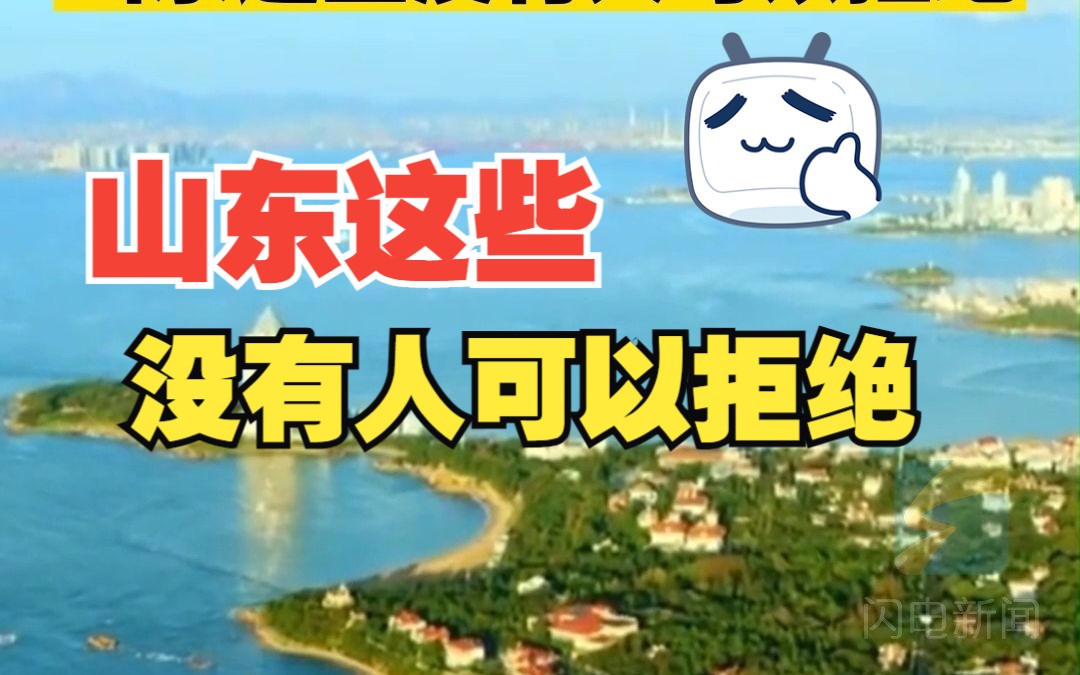 各地开通旅游专列 山东这些没有人可以拒绝哔哩哔哩bilibili