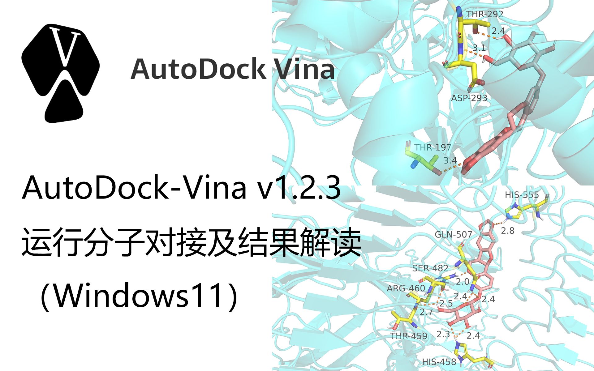 [图]【win11】Autodock-vina分子对接及结果解读|小L聊科研