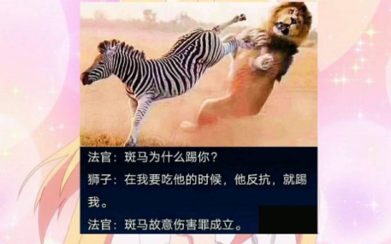 那些搞笑沙雕图,原来破旧的内裤有这么多用处哔哩哔哩bilibili