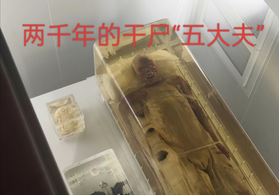 海南阿兴来到湖北,参观荆州博物馆,神奇的两千年干尸仍完好