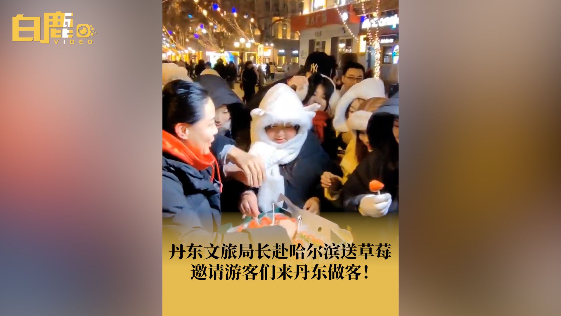 丹东文旅局长赴哈尔滨送草莓哔哩哔哩bilibili