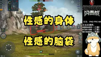 【毛毛WOTB】德系九级轻坦KPZ70K一个车体上面一根炮