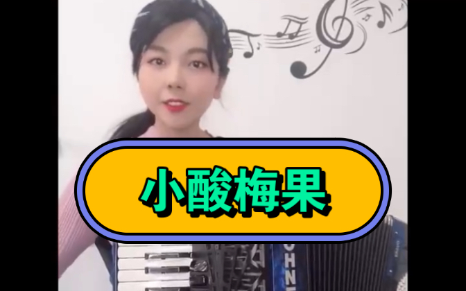 《小酸梅果》手风琴演奏.每个琴童必备曲目～
