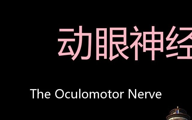 动眼神经 chinese pronunciation the oculomotor nerve