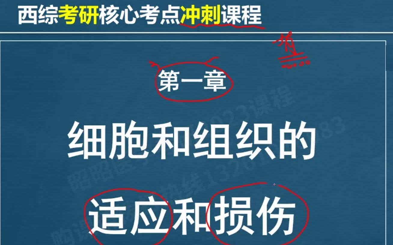 [图]2023考研西综 昭昭医学考研课程（内科学 外科学 生理学 病理学 生物化学 诊断学）