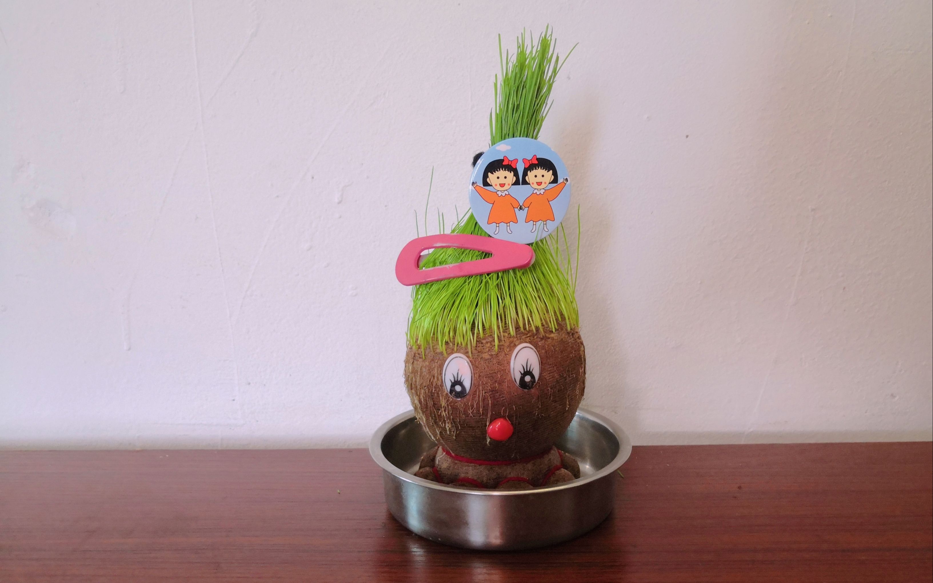 长草娃娃,头上长草也就只有我了,还有谁?_哔哩哔哩_bilibili