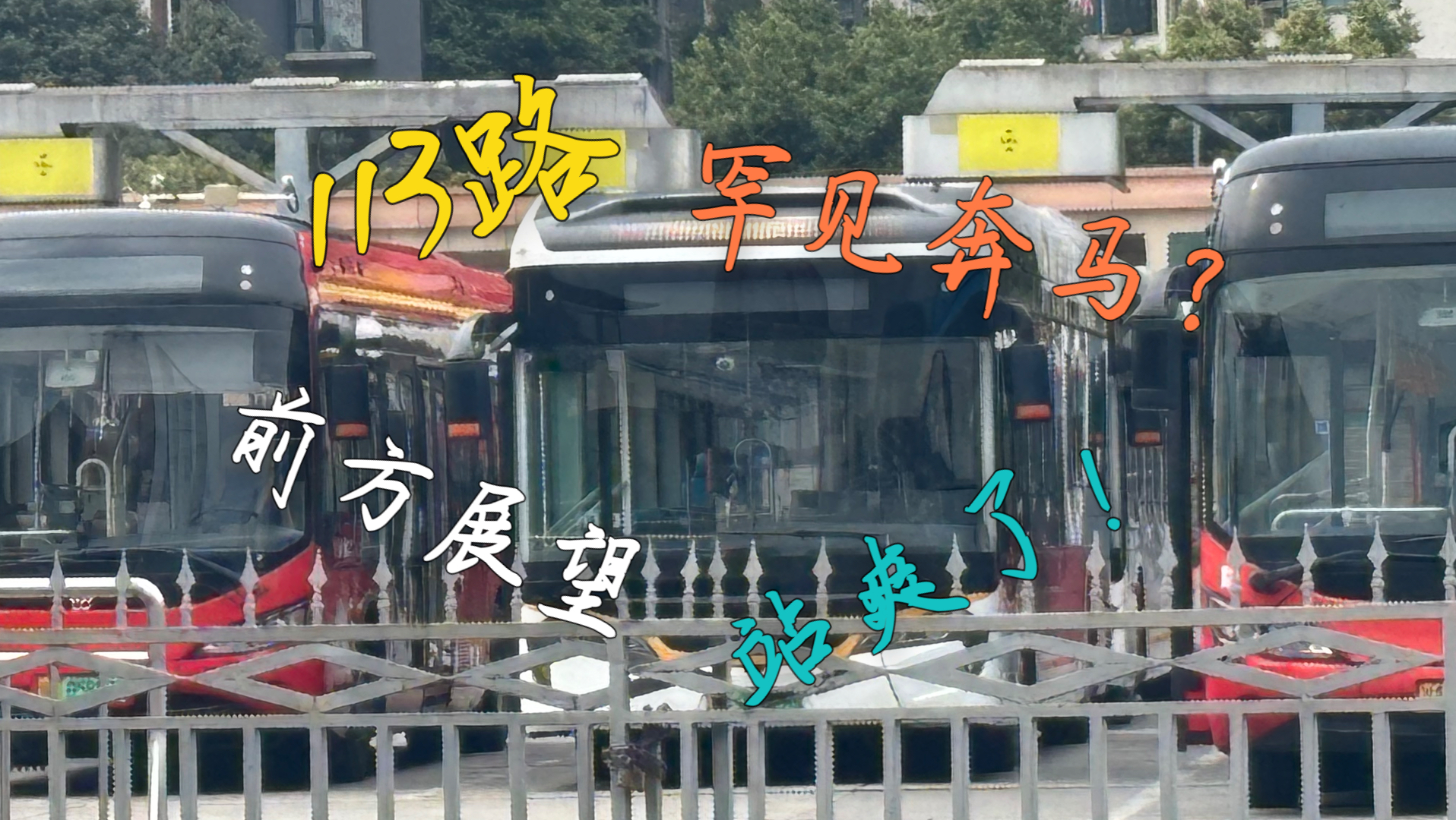 成都公交〗113路罕见奔马!茶店子公交站方向部分前方展望