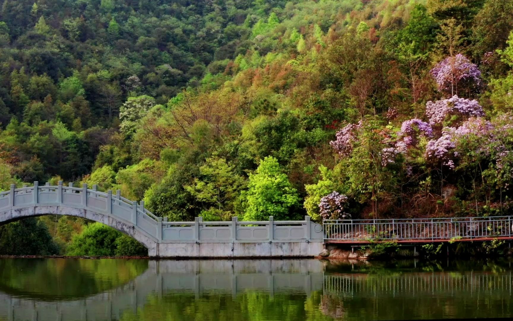 江西大余风景区鉴赏_哔哩哔哩_bilibili