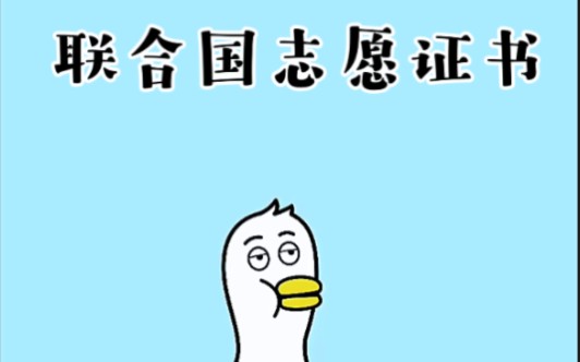 联合国志愿证书哔哩哔哩bilibili