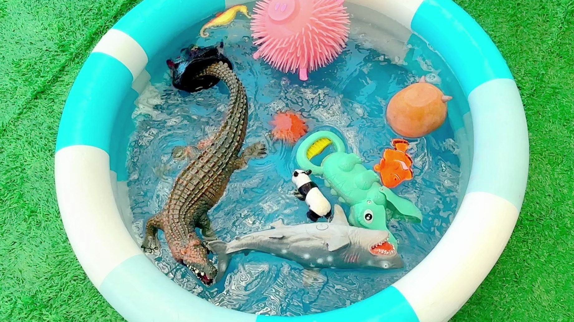 幼儿益智动物(幼儿益智动画启蒙大型动物)