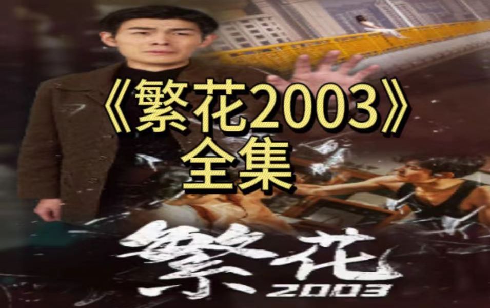 繁花2003全集版哔哩哔哩bilibili