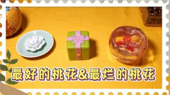 Download Video: 【嘉善】你最好的桃花&最烂的桃花