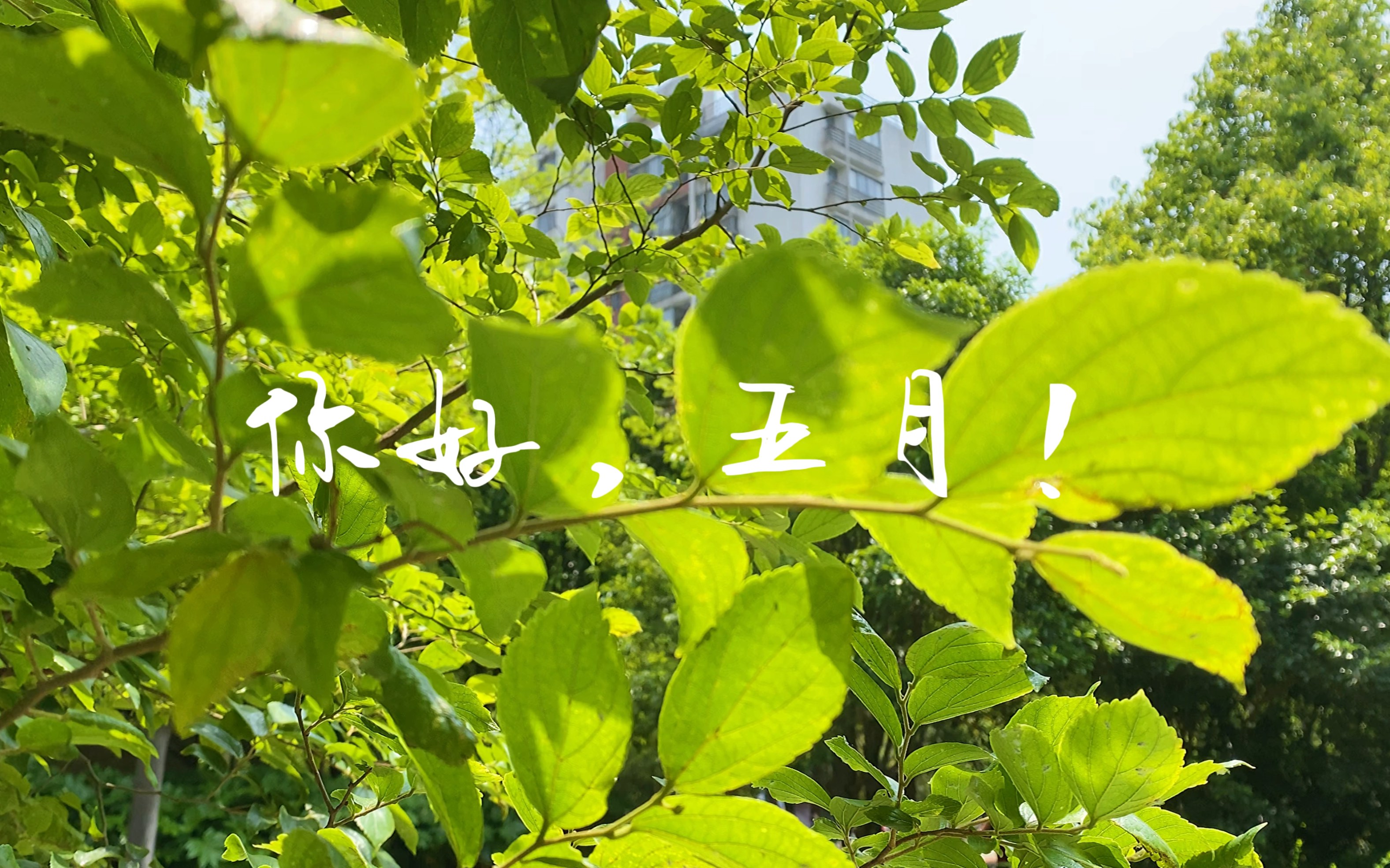 五月了,迎接夏天!