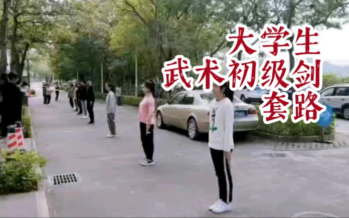 [图]【ImCheol】大学生体育课武术初级剑套路