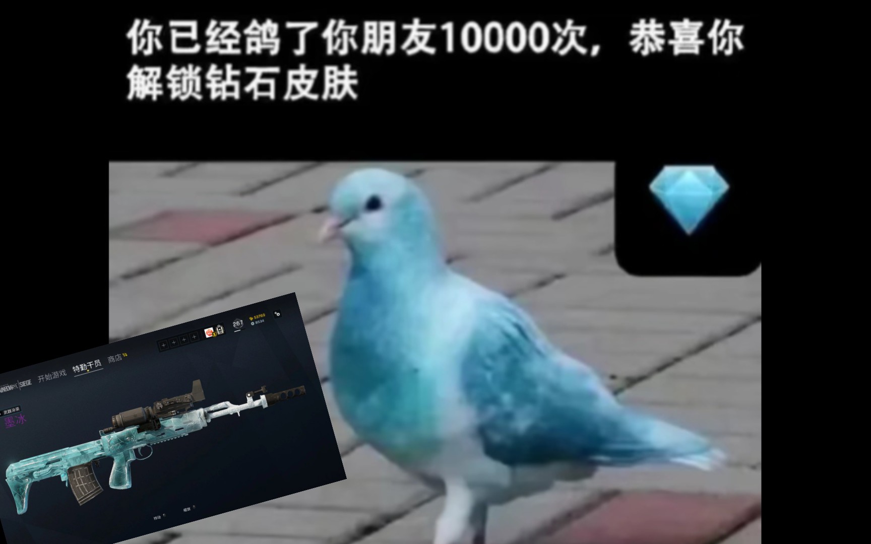 【吊图盲盒】拥有墨冰皮肤的鸽子???(doge)哔哩哔哩bilibili