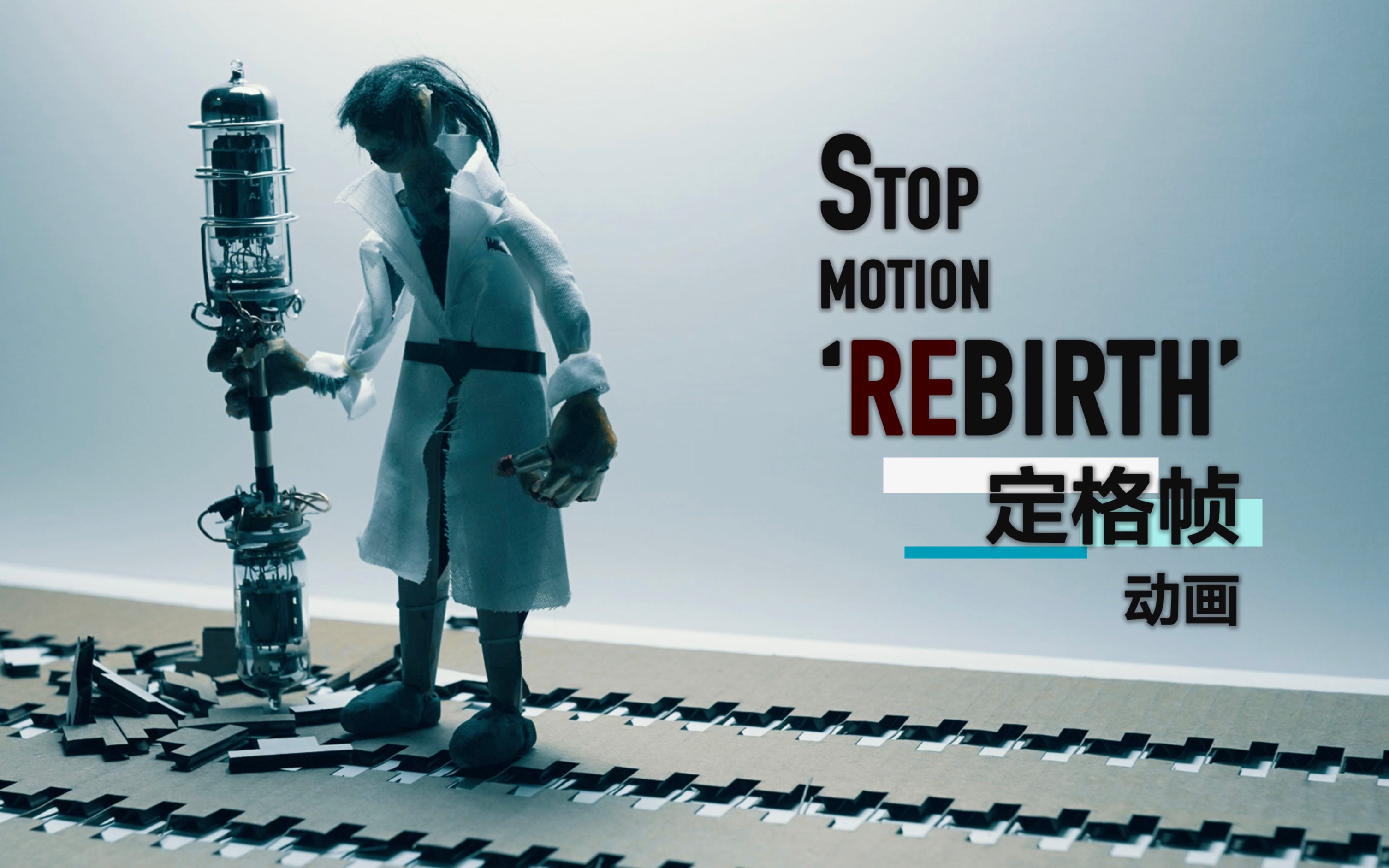 [图]【定格动画】重生 Rebirth