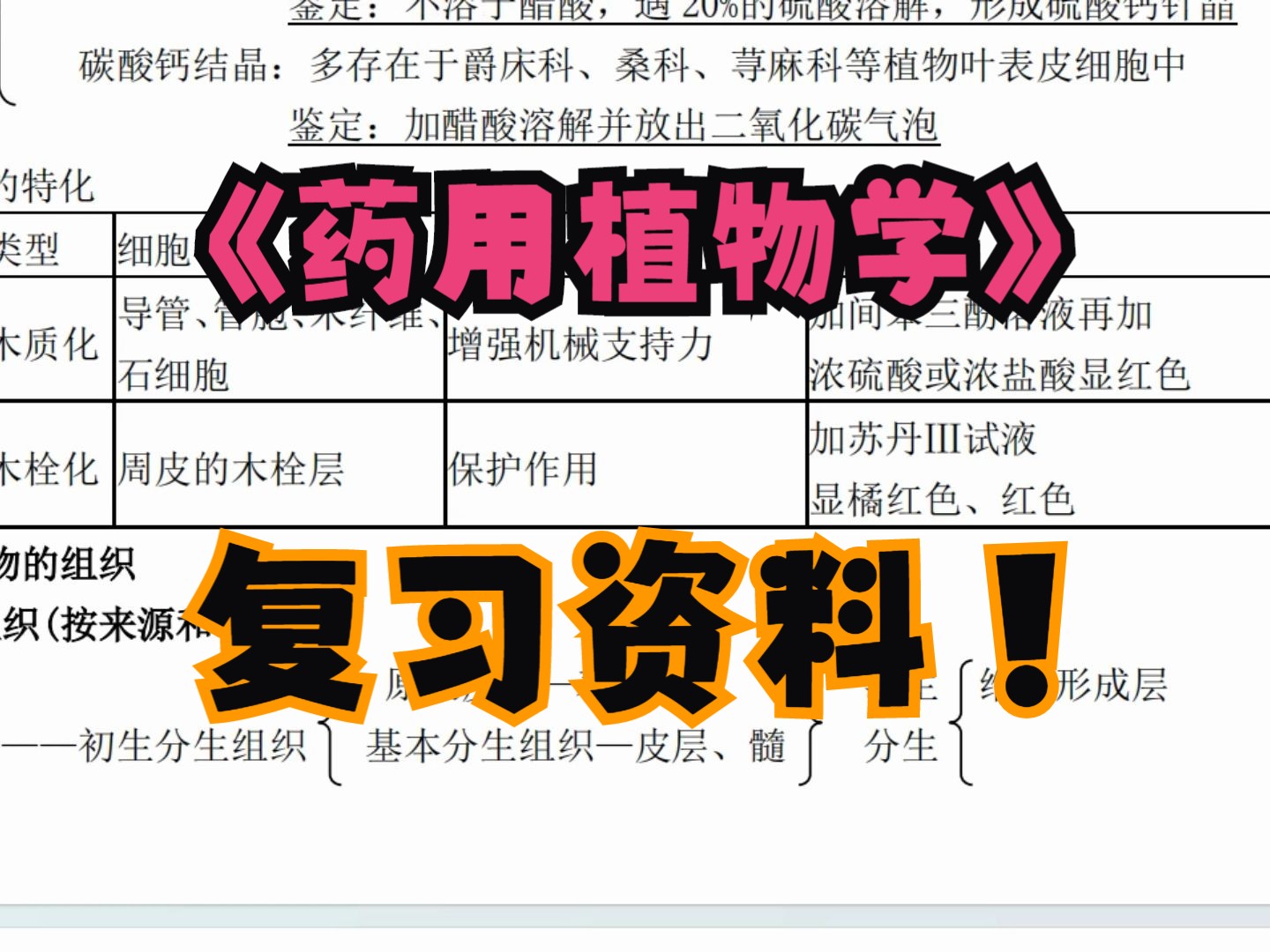 《藥用植物學》複習資料 複習重點 期末複習 知識點總結 試題 重點