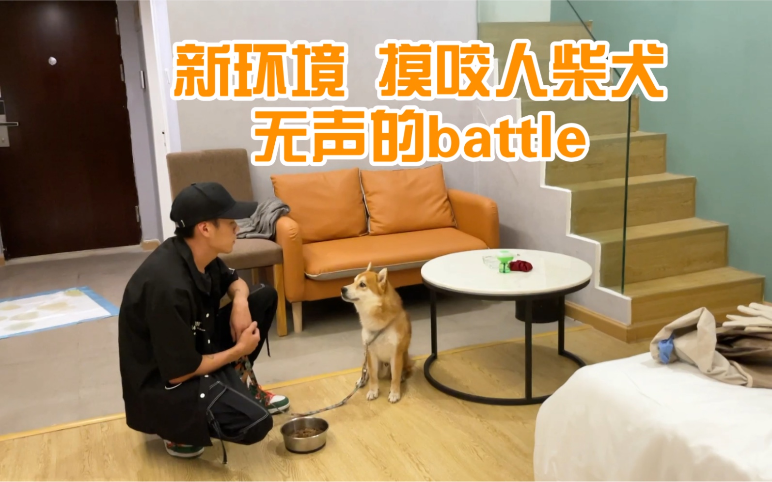 新环境 摸摸毛 无声的battle哔哩哔哩bilibili