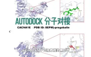 下载视频: autodock分子对接教程-分子对接（四）