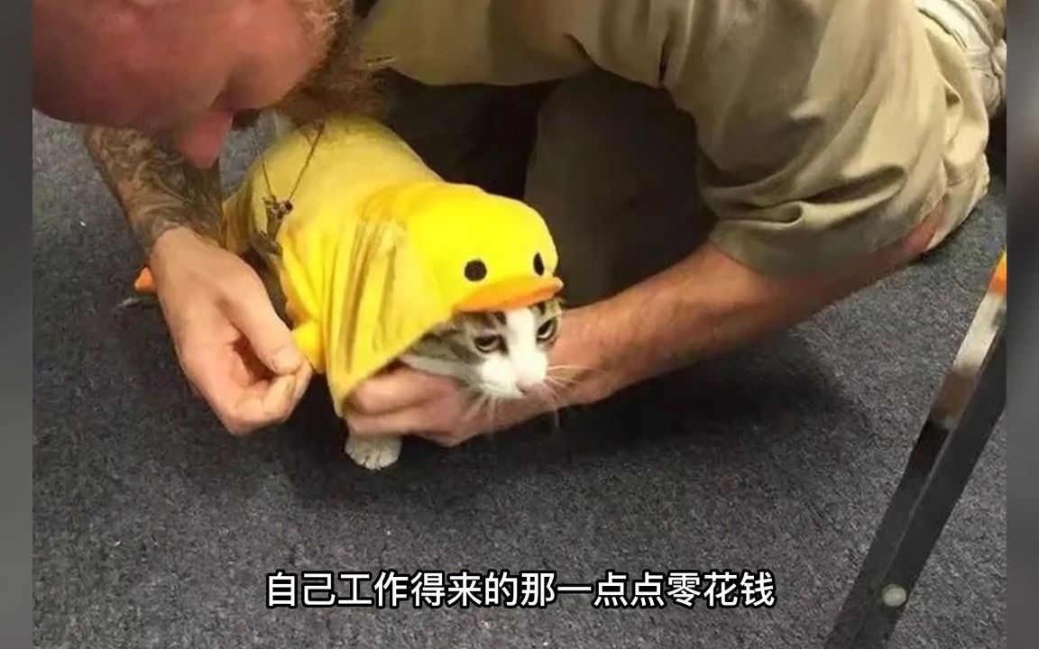 [图]本该安乐死的猫咪被作为奖励送给监狱囚犯饲养，双向治愈的生命简直太美好了