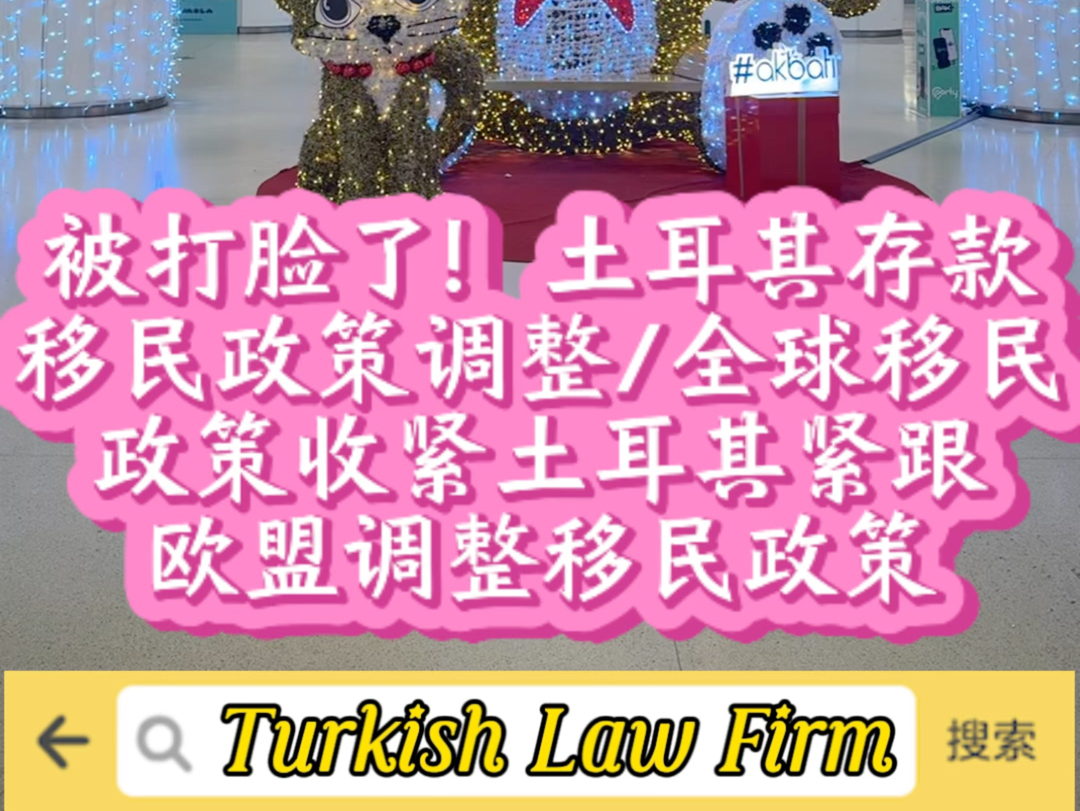 被打脸了!土耳其存款移民政策调整!全球移民政策收紧,土耳其紧跟欧盟调整移民政策!哔哩哔哩bilibili