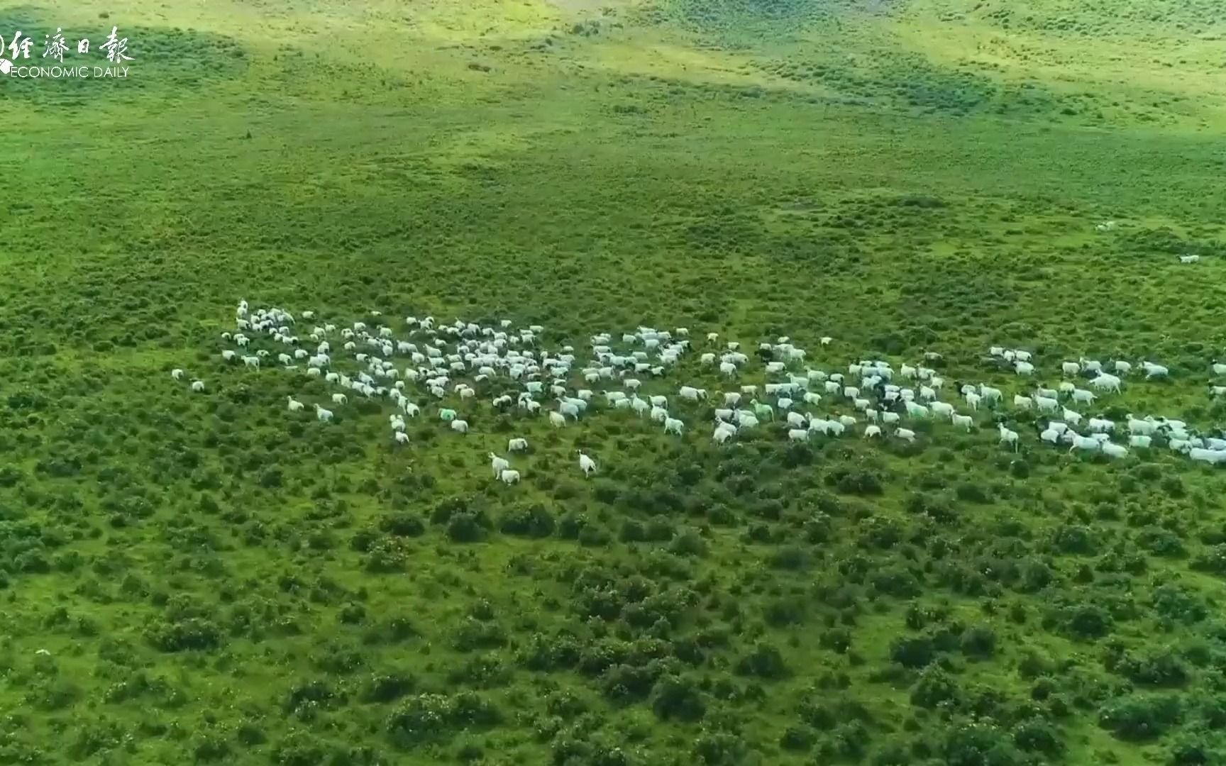 [图]威武祁连【60秒感受连连“祁”妙！】造化自然，千秋万年。修齐平治，威武祁连！