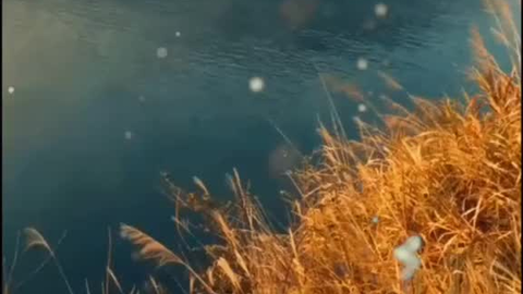 当你真的学会了放手 那纵算是一生云水漂泊 亦是可淡若清风 自在安宁 哔哩哔哩 つロ干杯 Bilibili