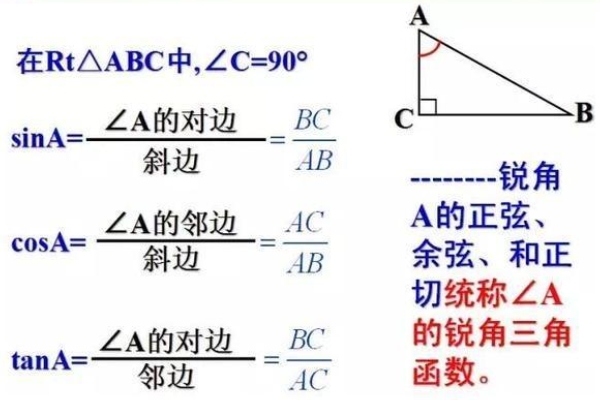 [图]数学之美：从公式到诗篇