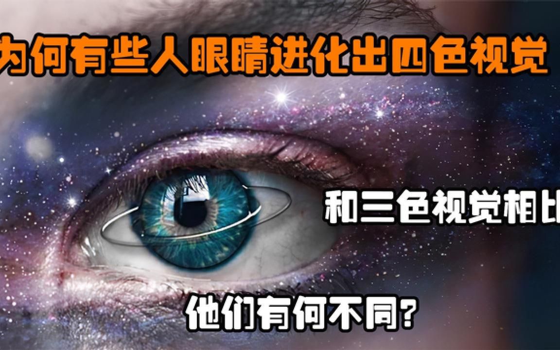 [图]为何有些人眼睛进化出四色视觉，和三色视觉相比，他们有何不同？