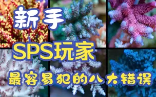 Скачать видео: 新手SPS玩家最容易犯的八大错误Top 8 Beginner SPS Mistakes