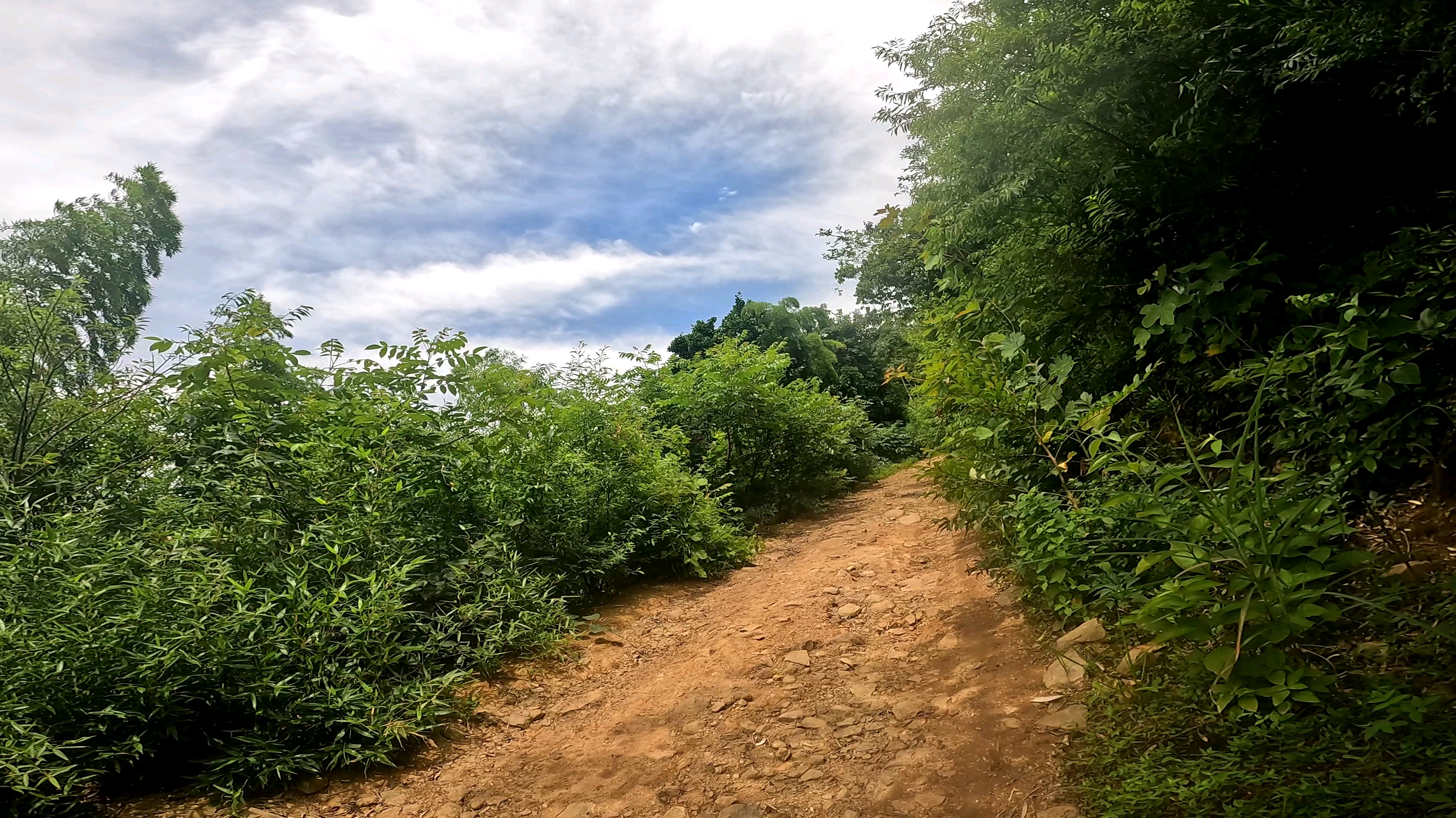 ktm390 跑山,非铺装路面,原声_哔哩哔哩_bilibili