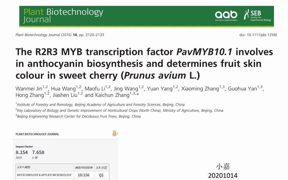 9分钟讲解高分文章PBJ MYB调控花青苷合成影响樱桃颜色哔哩哔哩bilibili