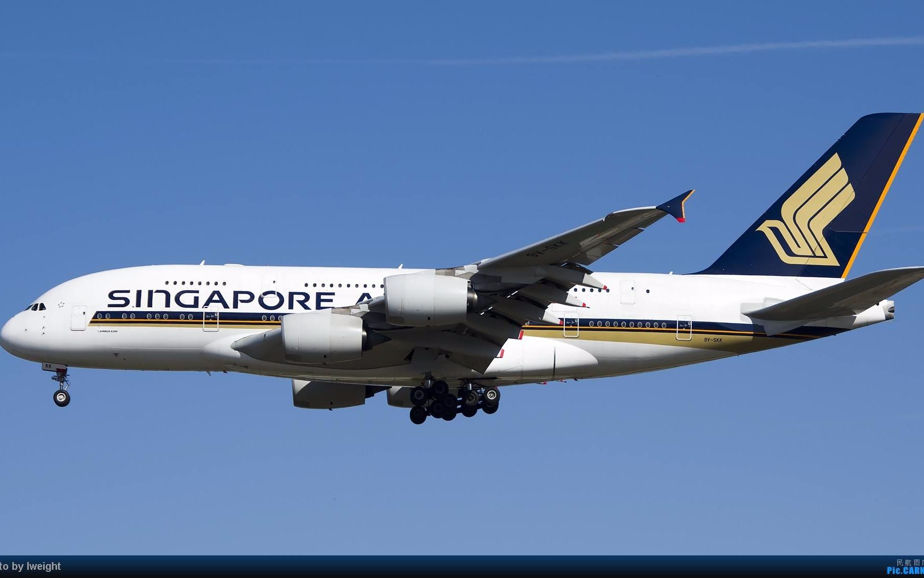 新加坡航空a380纸模型制作(因图纸问题已停止更新后将不会继续更新)