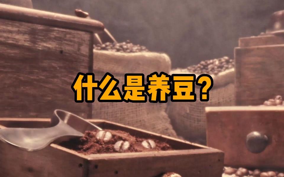 养豆到底是什么?哔哩哔哩bilibili