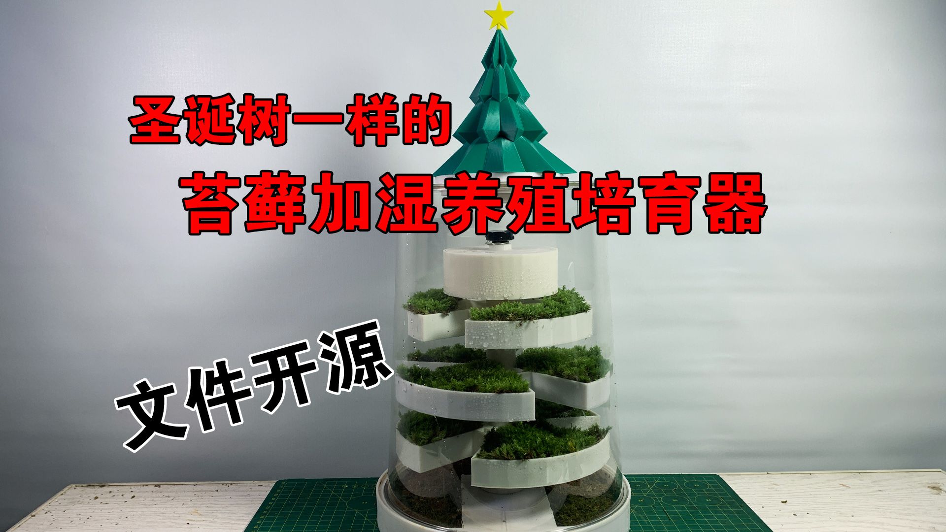 DIY像圣诞树一样的宝塔式苔藓加湿养殖培育器,实现懒人苔藓自由哔哩哔哩bilibili