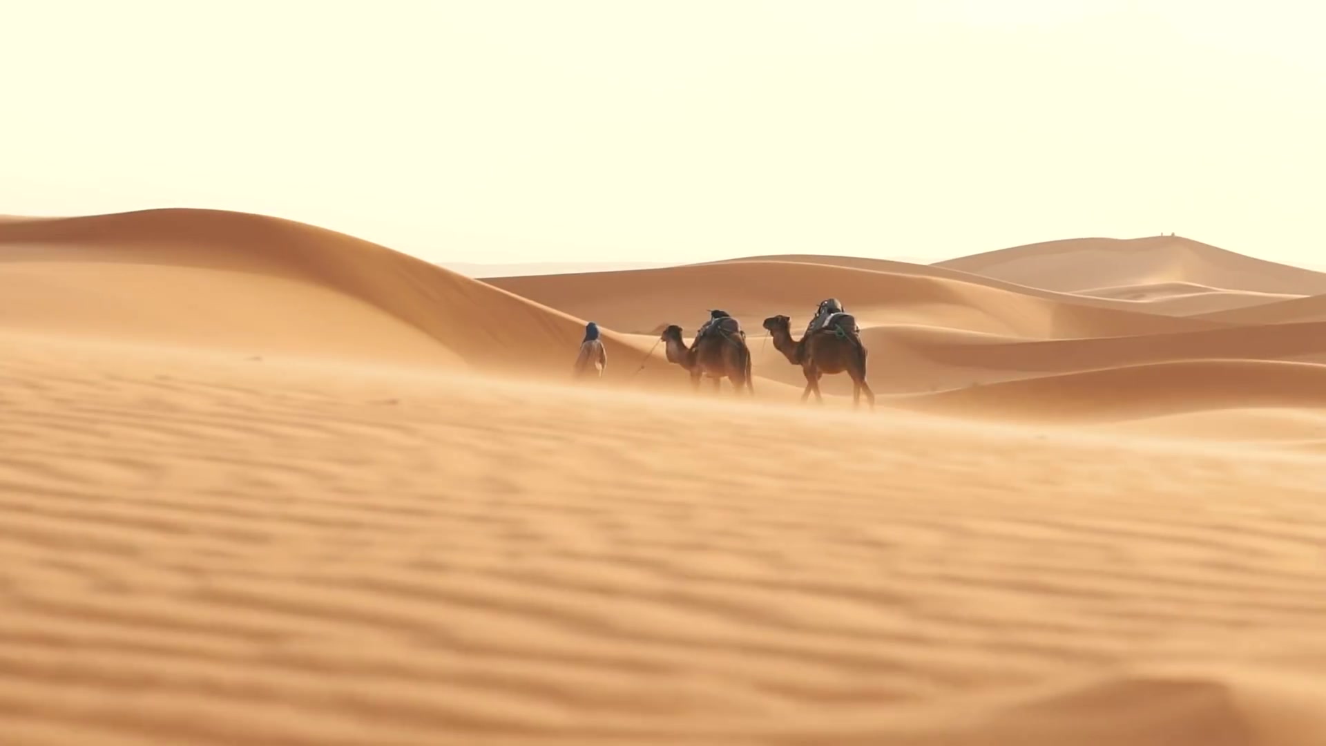 [图]TO THE SAHARA DESERT MOROCCO