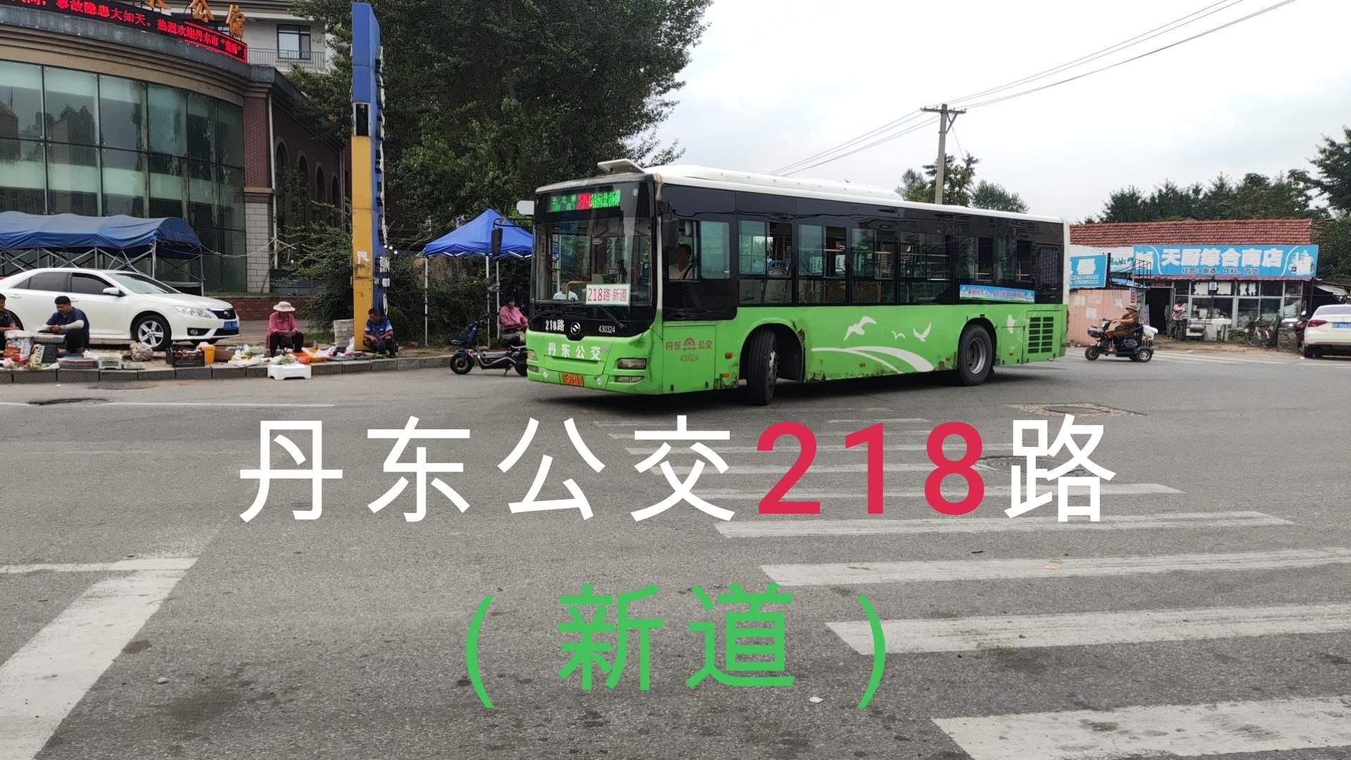 南下 丹东公交218路(新道)(反向) 五龙背站前北桥洞 公交pov哔哩哔哩bilibili