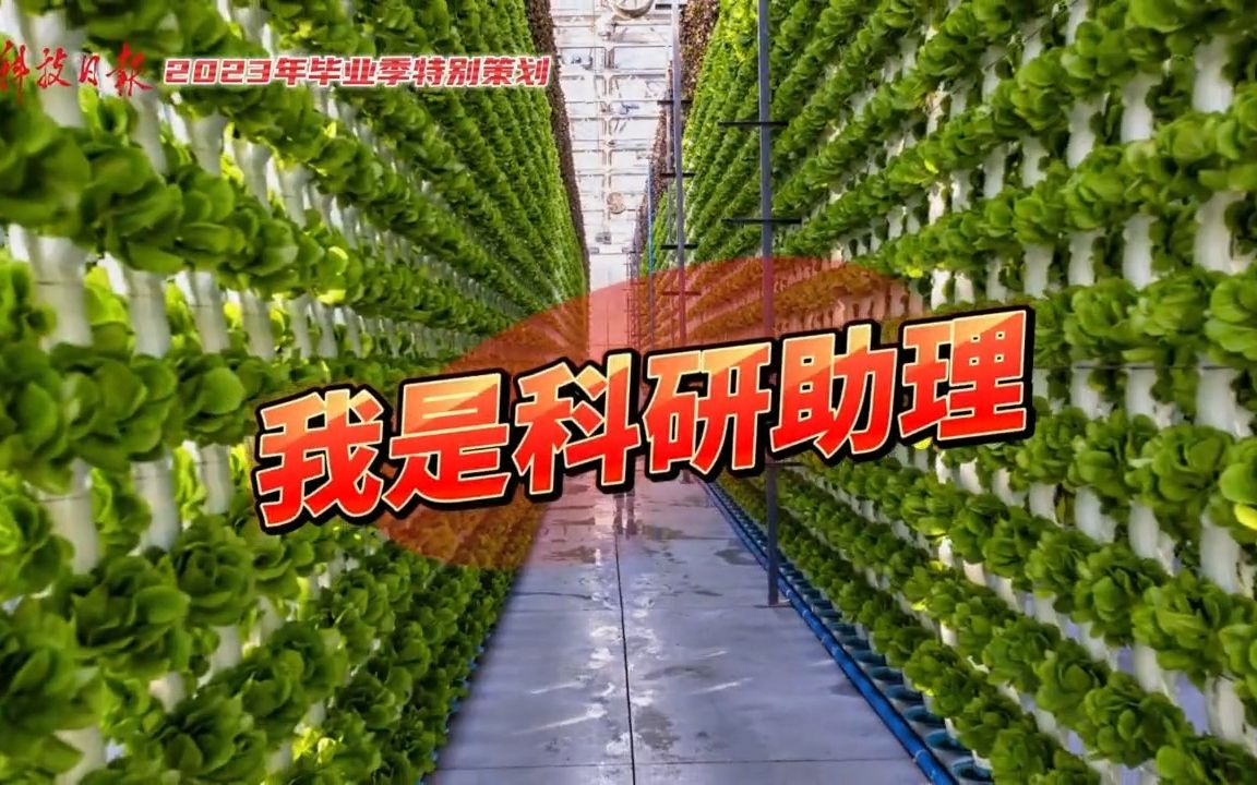 毕馨月:把科研事业做得更好哔哩哔哩bilibili