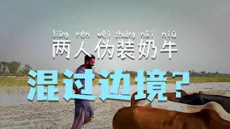 扮成可爱牛牛的两人，竟在边境搞大事 《第二集》