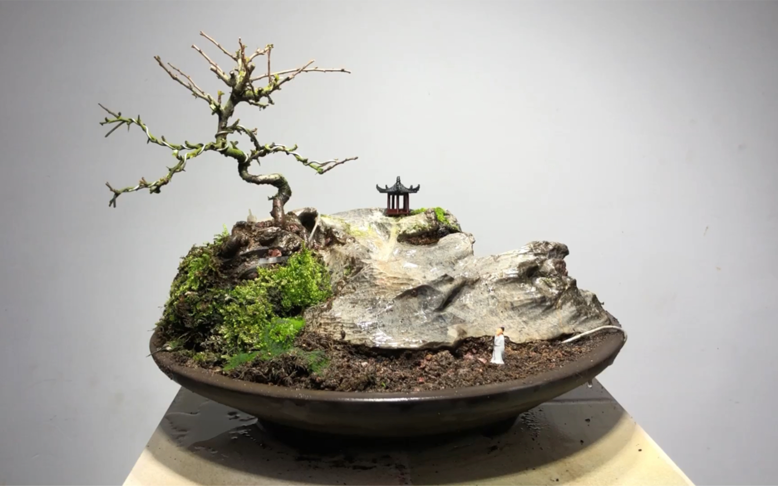 日本长寿梅附石造景盆景,山景,波澜起伏