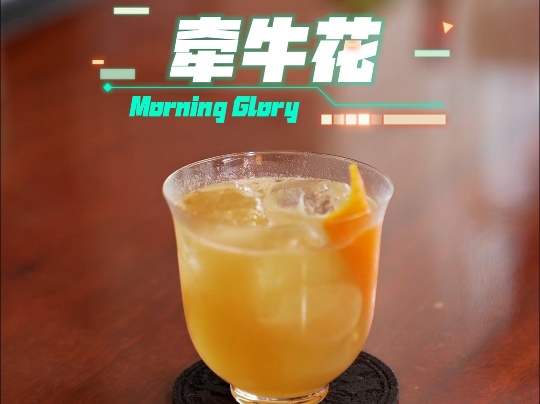 牵牛花Morning Glory哔哩哔哩bilibili