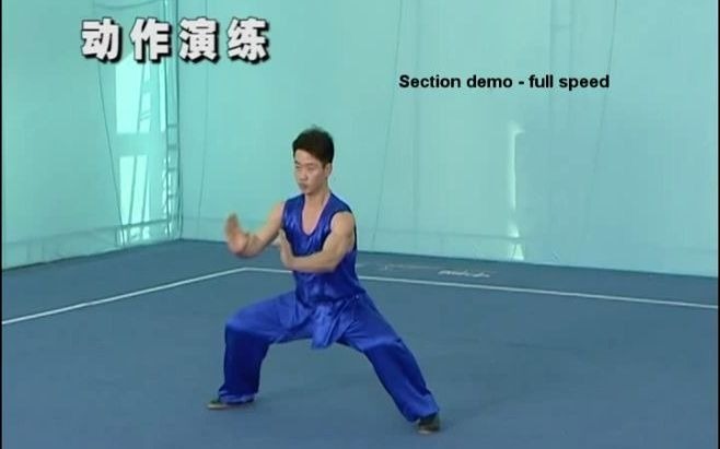 [图]第三套国际规定南拳 教学 Nanquan Instructional Video -IWUF 3rd Generation Compulsory Routine