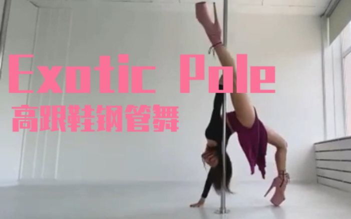 桃红色小姐姐钢管舞|高跟鞋编舞|Exotic Pole|俄罗斯Irina哔哩哔哩bilibili