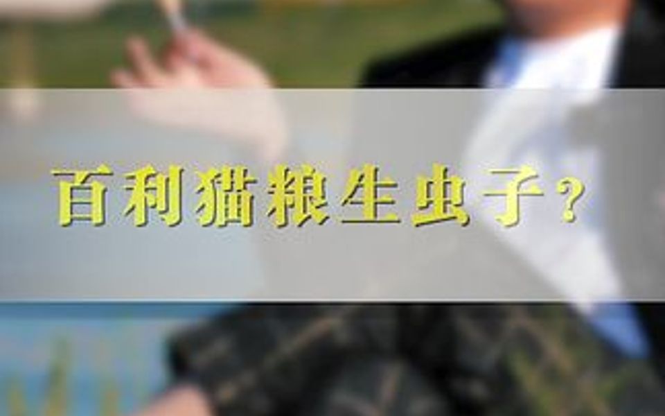 百利猫粮怎么样?生虫子哔哩哔哩bilibili