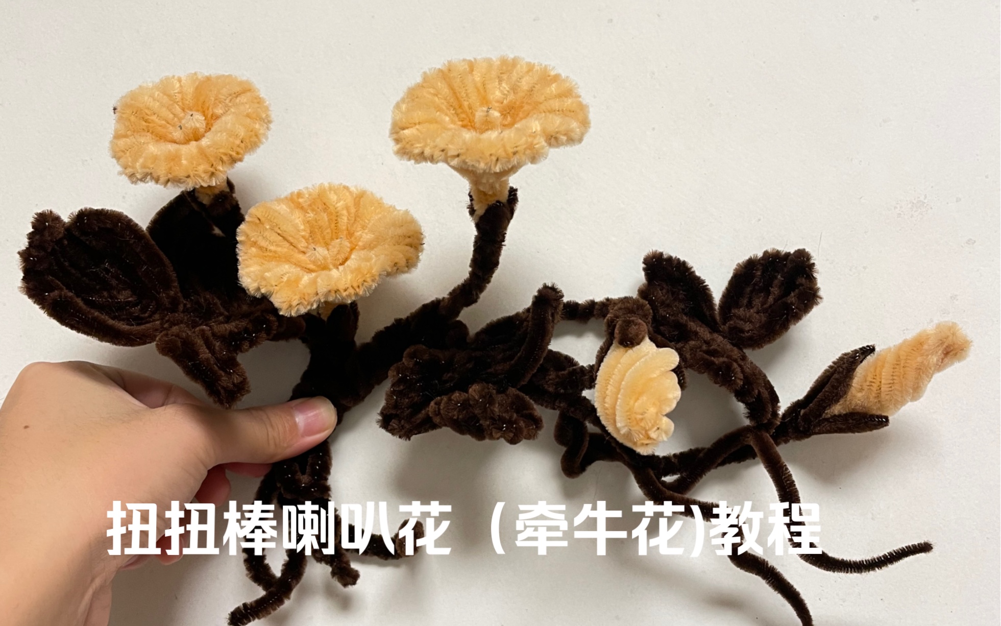 [图]［扭扭棒］牵牛花教程可可爱爱的立体喇叭花如何制作呢？快跟着教程一起做同款吧