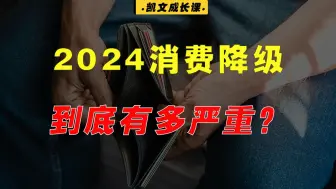 Download Video: 今年的消费降级到底有多严重？我们真的要进入低欲望时代了吗？